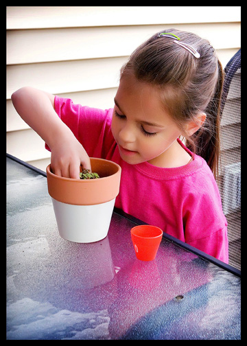 child re-potting plant