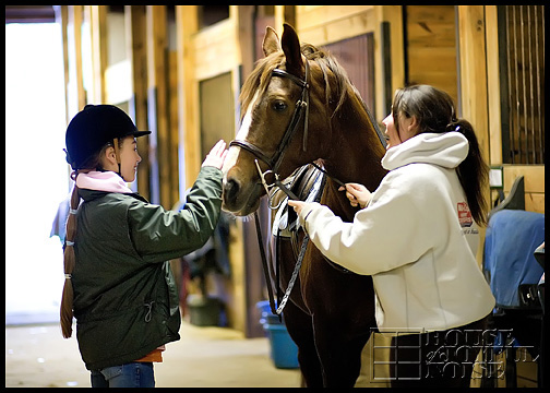 1_girl-patting-nose-of-horse-in-stable