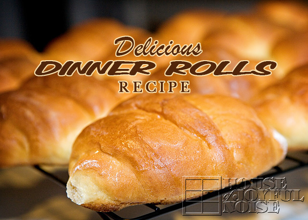 dinner-rolls-recipe-tutorial_2-13