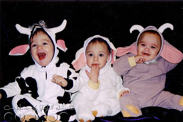 baby-farm-animal-costumes-triplets