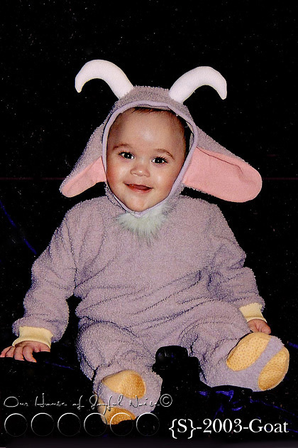 baby-goat-costume