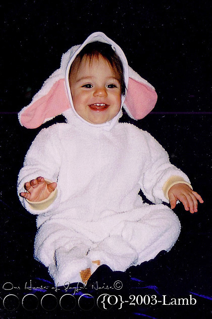 baby-lamb-costume
