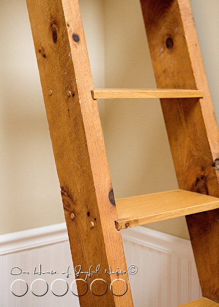 ladder-book-shelf-2