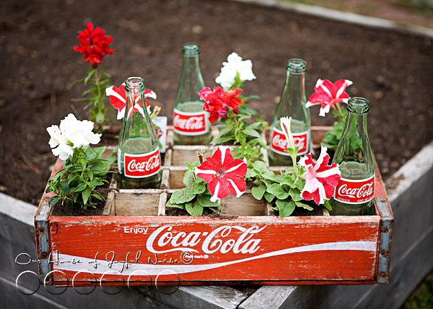 coke-bottles-crate-repurposing-creative-gardening-4