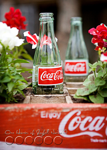 coke-bottles-crate-repurposing-creative-gardening-6