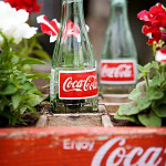 coke-bottles-crate-repurposing-creative-gardening-7
