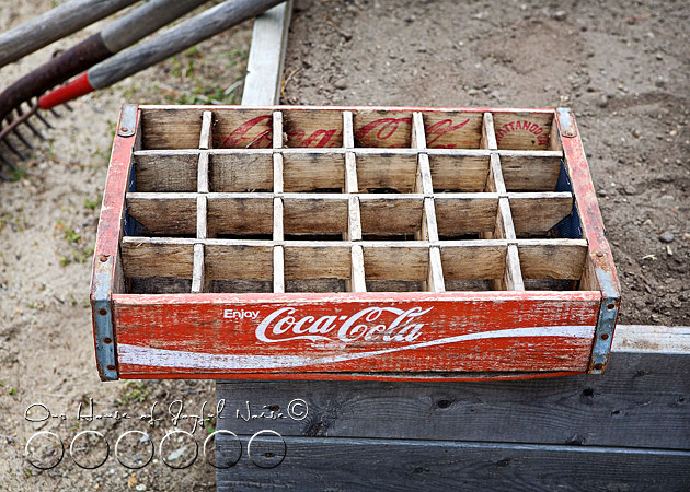 coke-bottles-crate-repurposing-creative-gardening