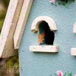 003_birdhouse-woodpecker-damage-150x150
