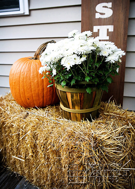 white mums in bushel basket with orange pumpkin