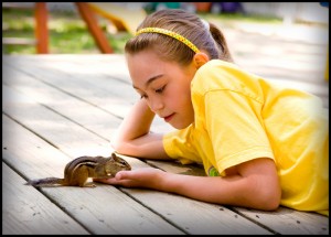 little girl hand-training chipmunk