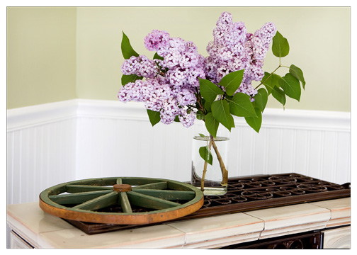 lilacs displaye in home