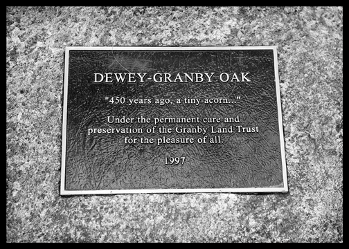 dewey granby oak 
