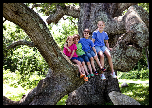 kids-in-dewey-granby-oak-tree