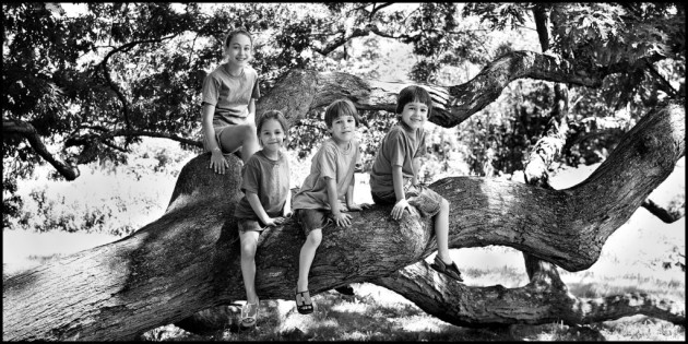 kids-on-dewey-granby-oak-limb