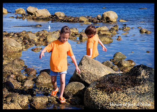 kids-on-shore-rocks