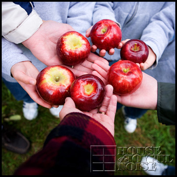 11_apples-in-hands