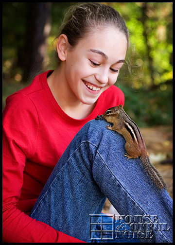 chipmunks