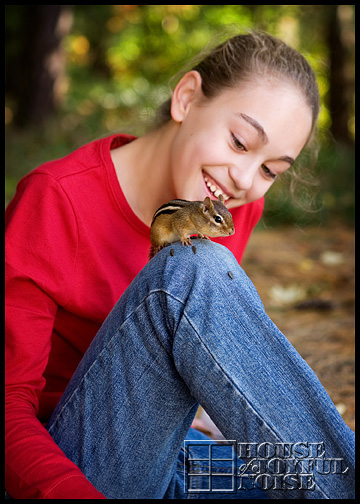 chipmunks