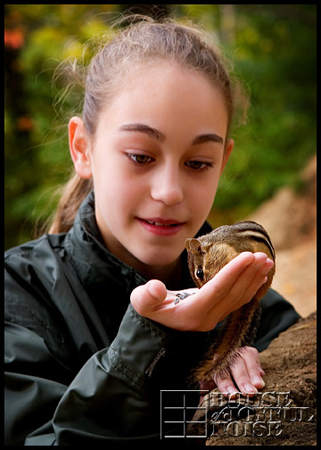 chipmunks