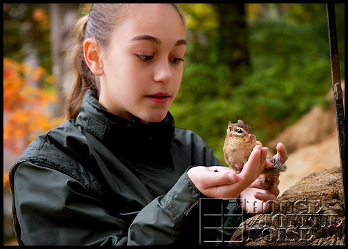 chipmunks