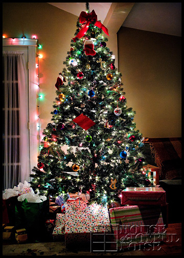 6_lit-Christmas-tree
