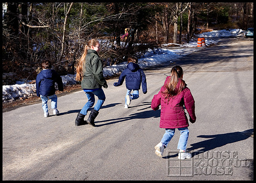 Groundhog Day homeschooling ideas