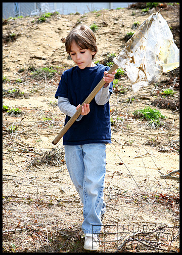 Earth Day homeschooling ideas