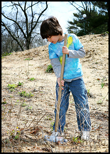 Earth Day homeschooling ideas