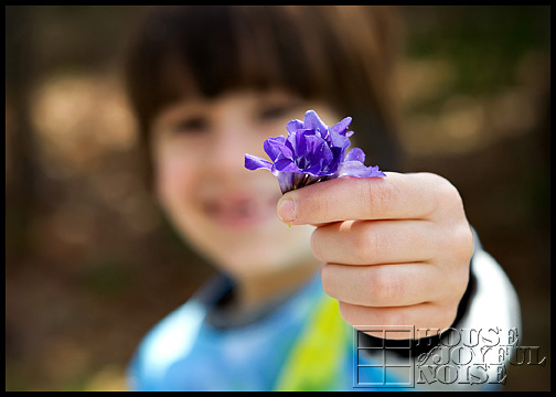 Earth Day homeschooling ideas