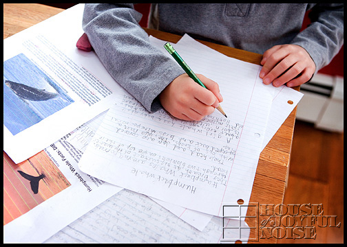 elementary homeschooling writing skills development
