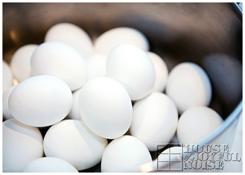 white-eggs-ready-to-dye