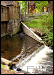 herring run