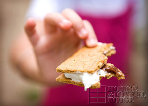 s'mores