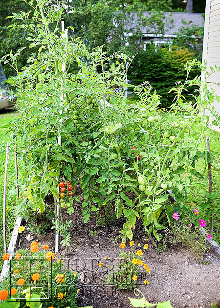 front yard gardens