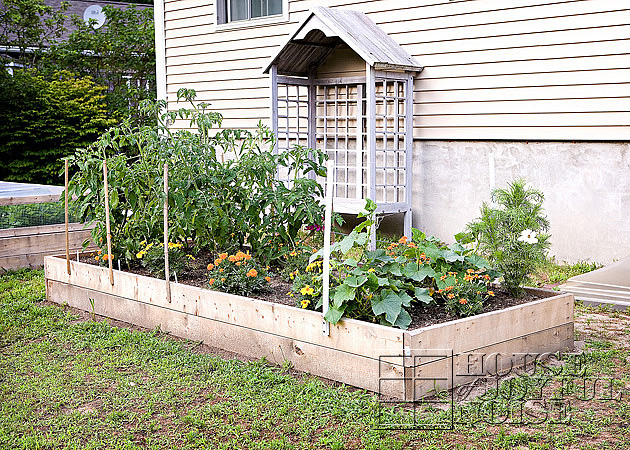 front yard gardens