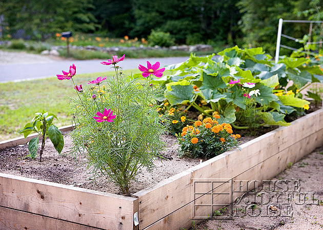 front yard gardens