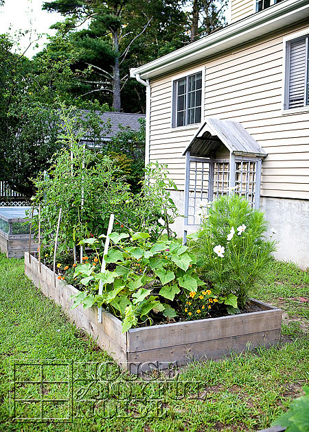 front yard gardens