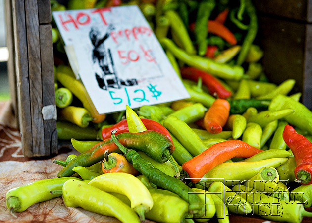 Plymouth MA Farmers Market