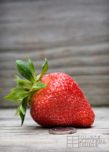 05_huge-strawberry