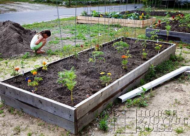 01_first_garden_bed