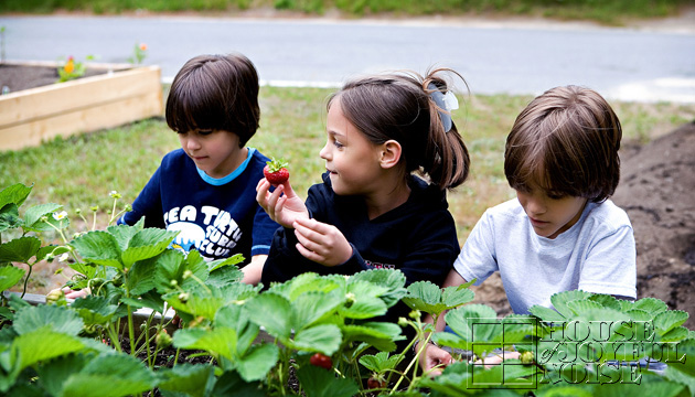 08_triplets-strawberry-bed