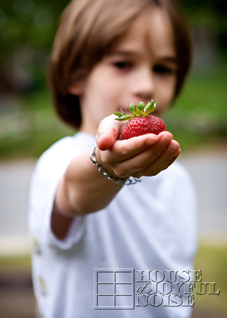 11_big-strawberry