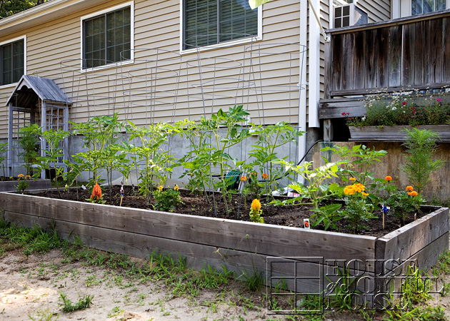 15_1st-garden-bed-grown