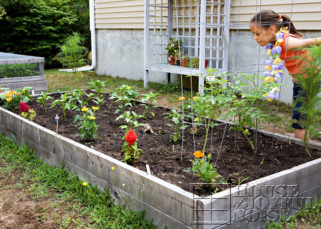 16_2nd-garden-bed-grown