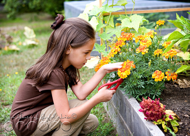 025_little-gardener