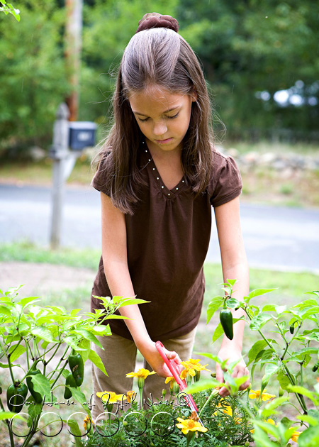 026_little-gardener