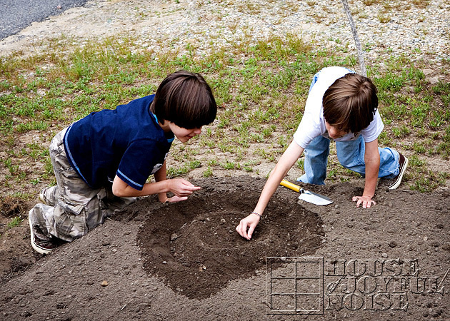 making-growing-pumpkin-patch-progress-results-3