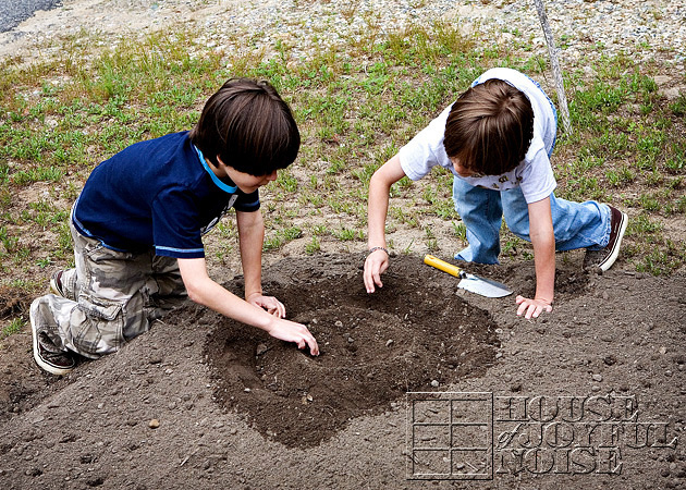 making-growing-pumpkin-patch-progress-results-4