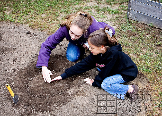 making-growing-pumpkin-patch-progress-results-6