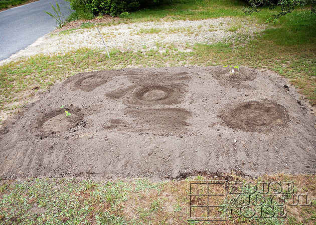 making-growing-pumpkin-patch-progress-results-7